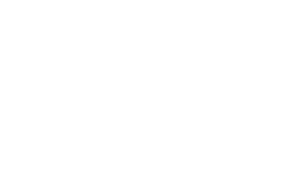 Quantik Shipping
